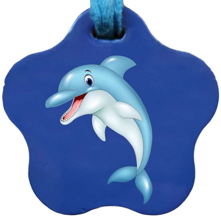 Yunus balığı yıldız kartı resmi
