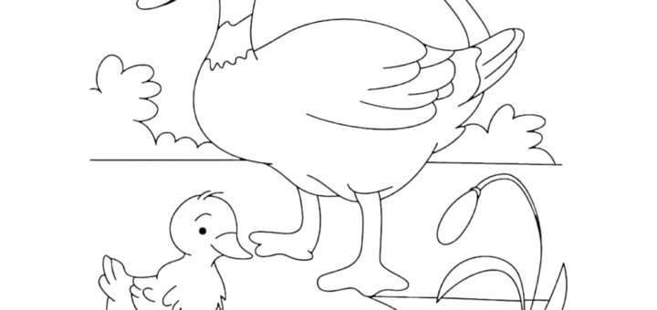 Ördek ve civciv boyama resmi