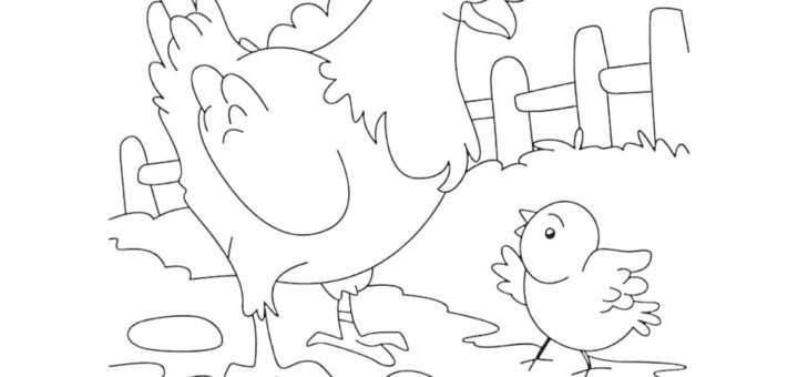 tavuk çizim resmi
